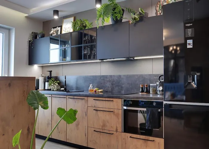 Loft Apartament Siłownia Klimatyzacja Taras Barek